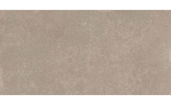 Feinsteinzeug taupe 60 x 120 cm