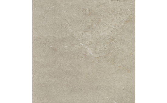 Feinsteinzeug beige 80 x 80 cm