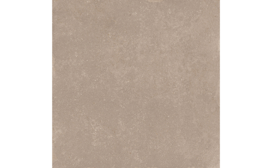 Feinsteinzeug taupe 120 x 120 cm