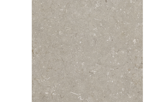 Feinsteinzeug taupe 60 x 60 cm
