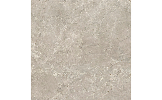 Feinsteinzeug greige 60 x 60 cm