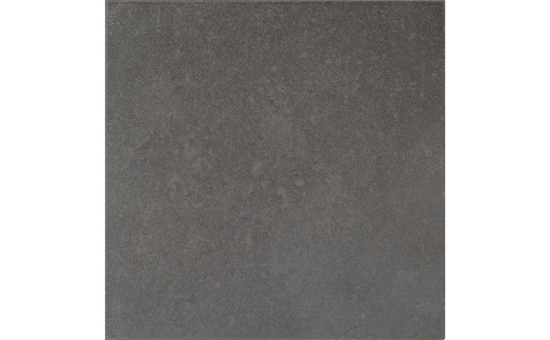 Feinsteinzeug anthrazit 30 x 30 cm
