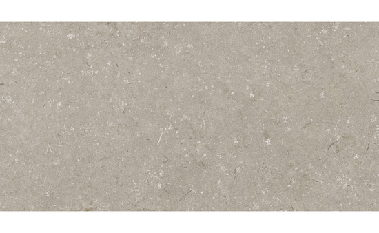 Feinsteinzeug taupe 60 x 120 cm